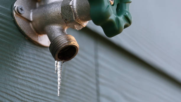 Best Water Leak Repair  in Laguna Heights, TX